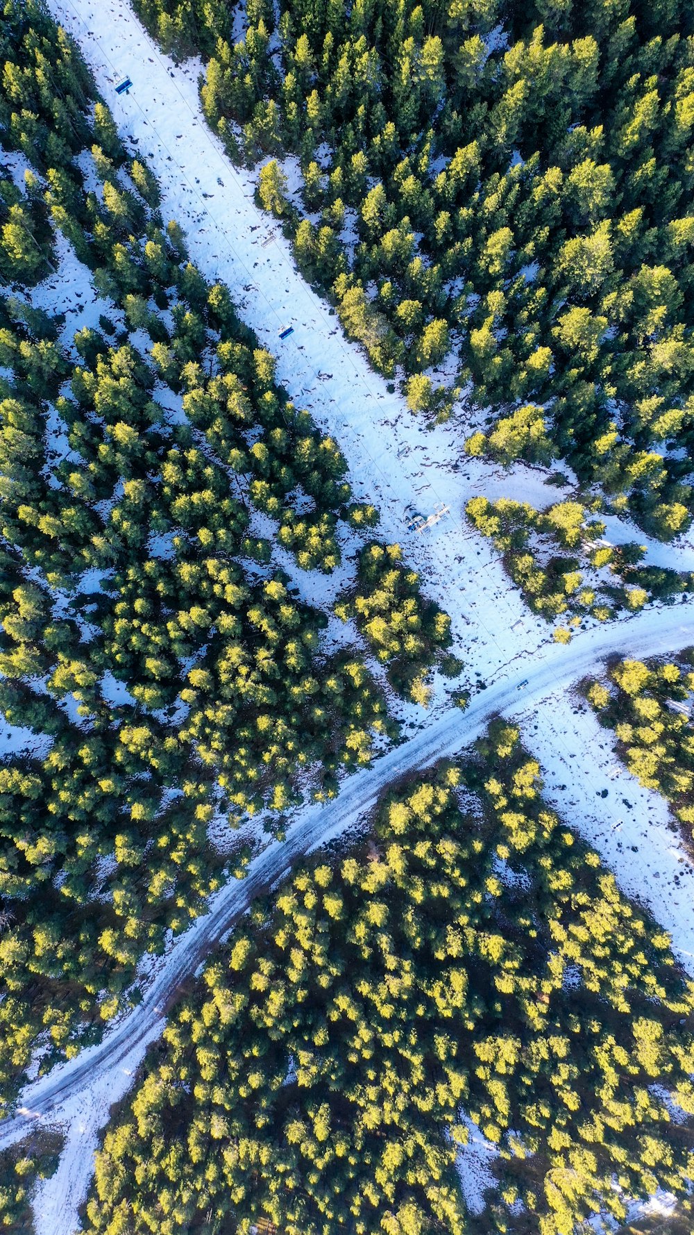 道路を囲む緑の木々の航空写真