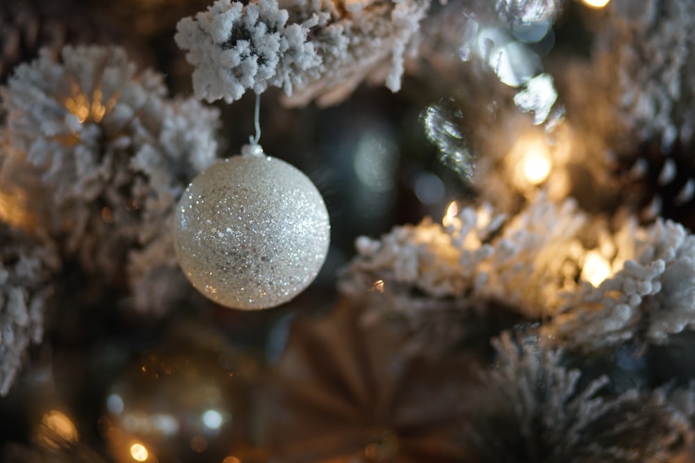 selective focus photography of gray Christmas tree
