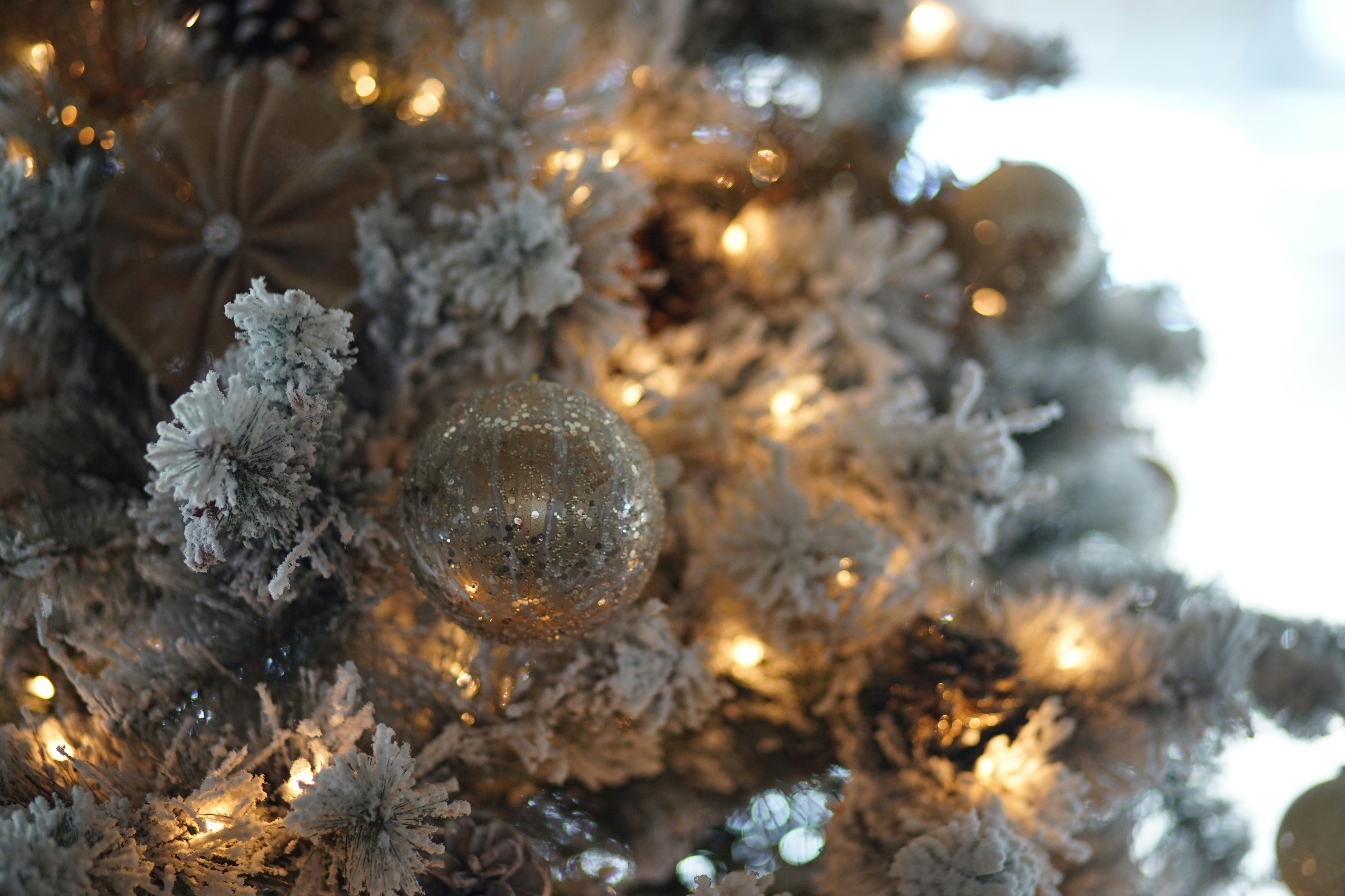 Photo by denisseleon