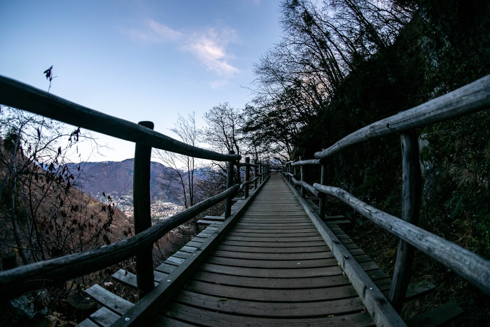 landscape photography of wooden bridge