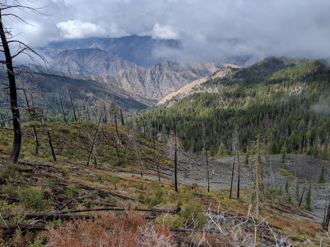 green trees, A clearing storm opens up the view into the massive Hell