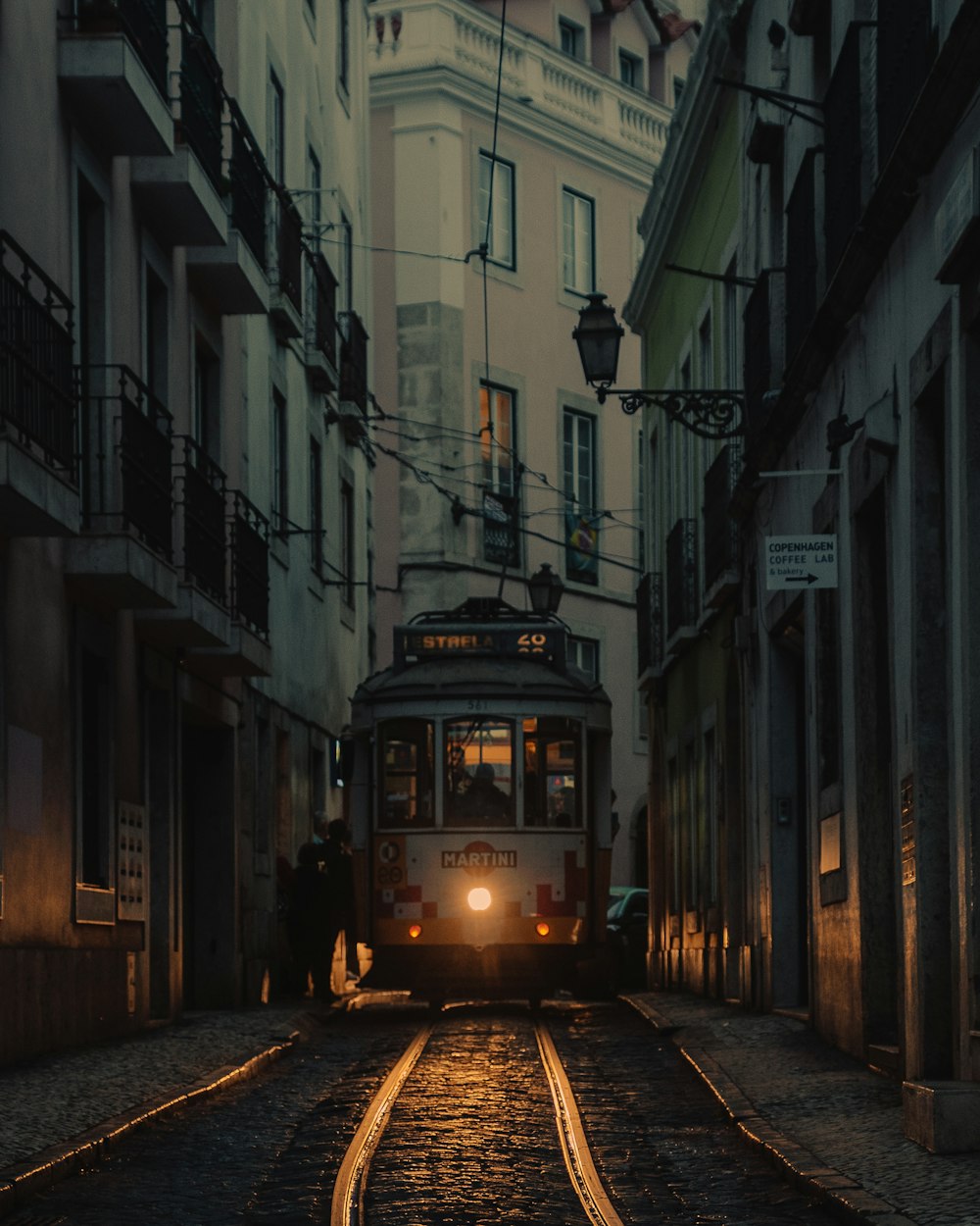 white and brown train