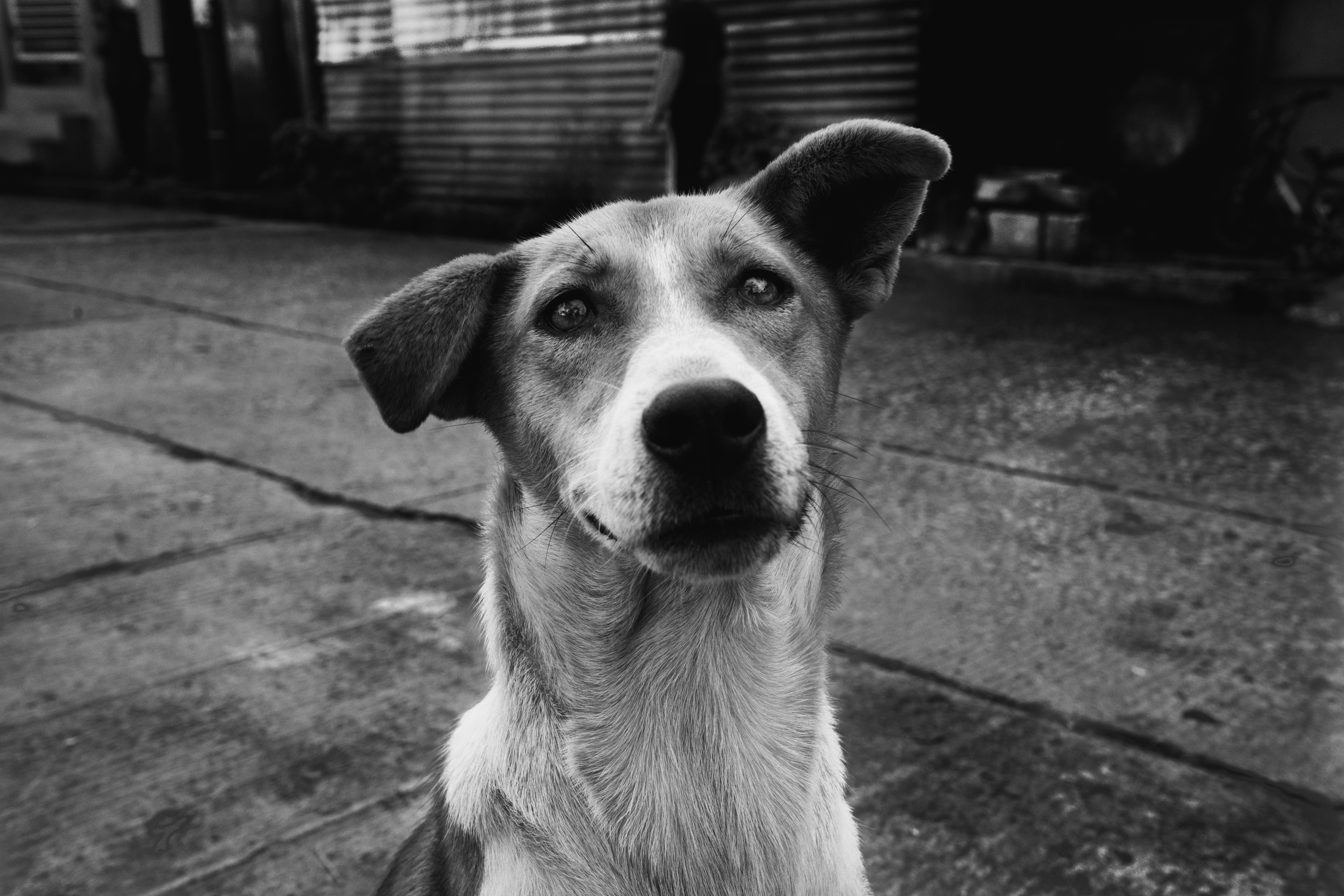 Photo by annastampfli