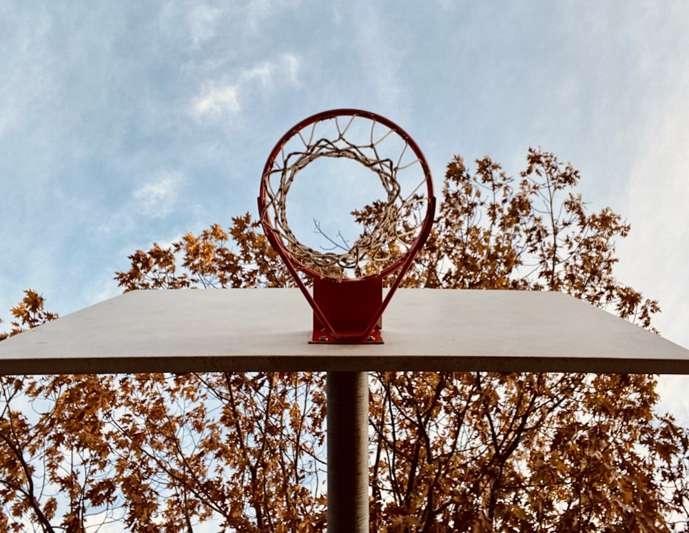 worms eyeview of basketball ring photography