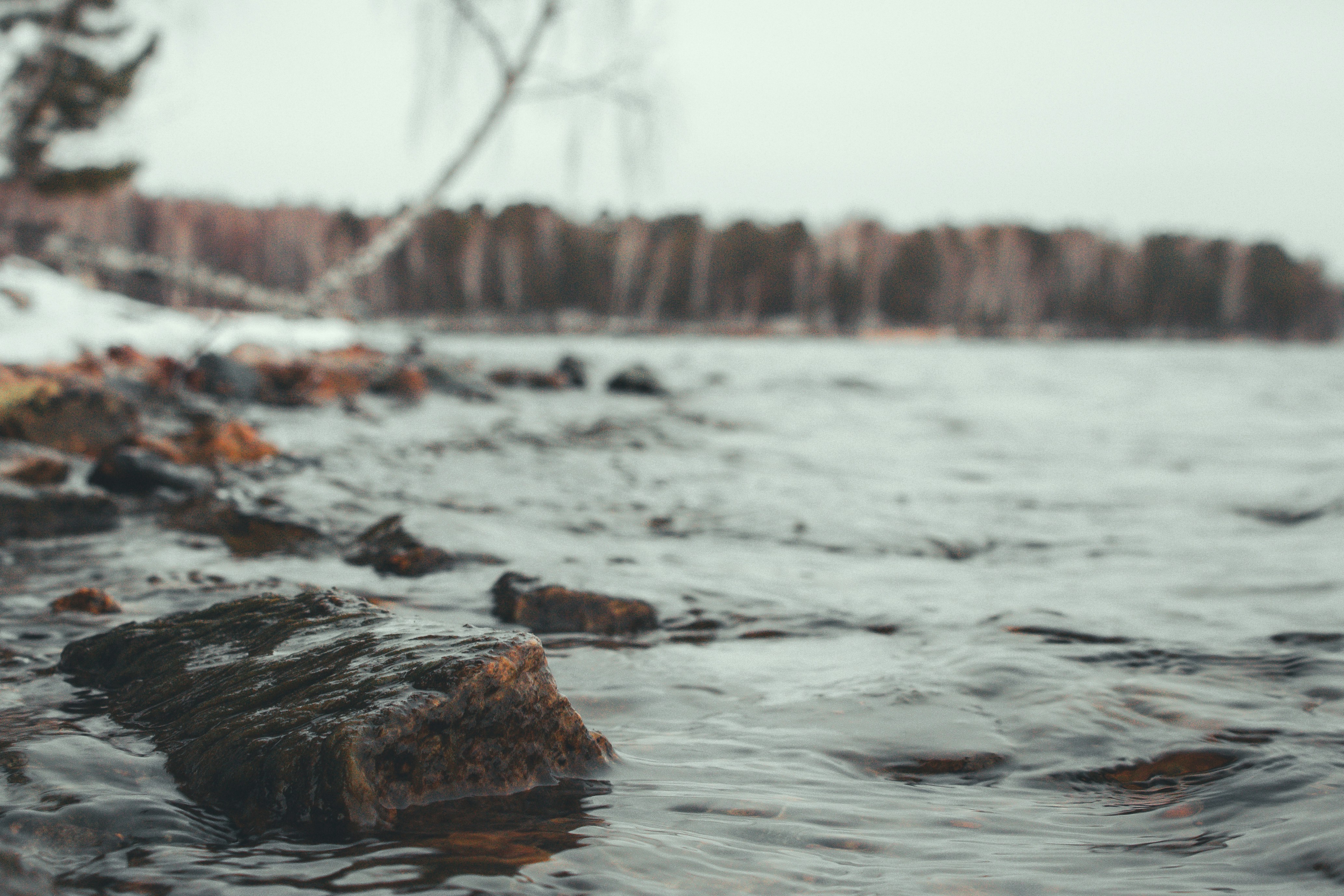 Photo by _shura1336_