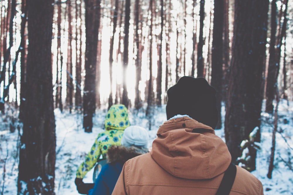 three person walking near outdoor between trees during daytime