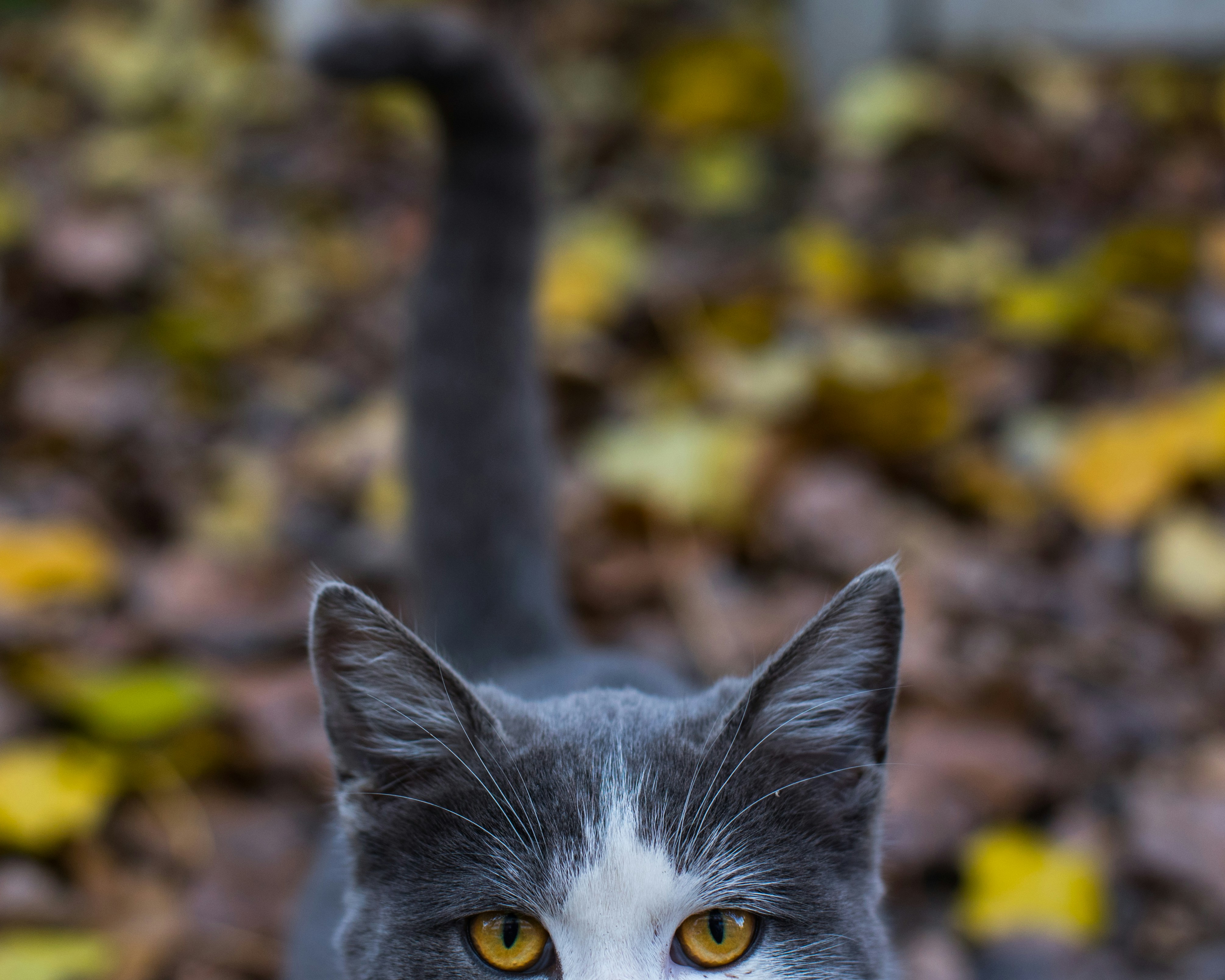 How to Flirt with a Girl Again After a Breakup