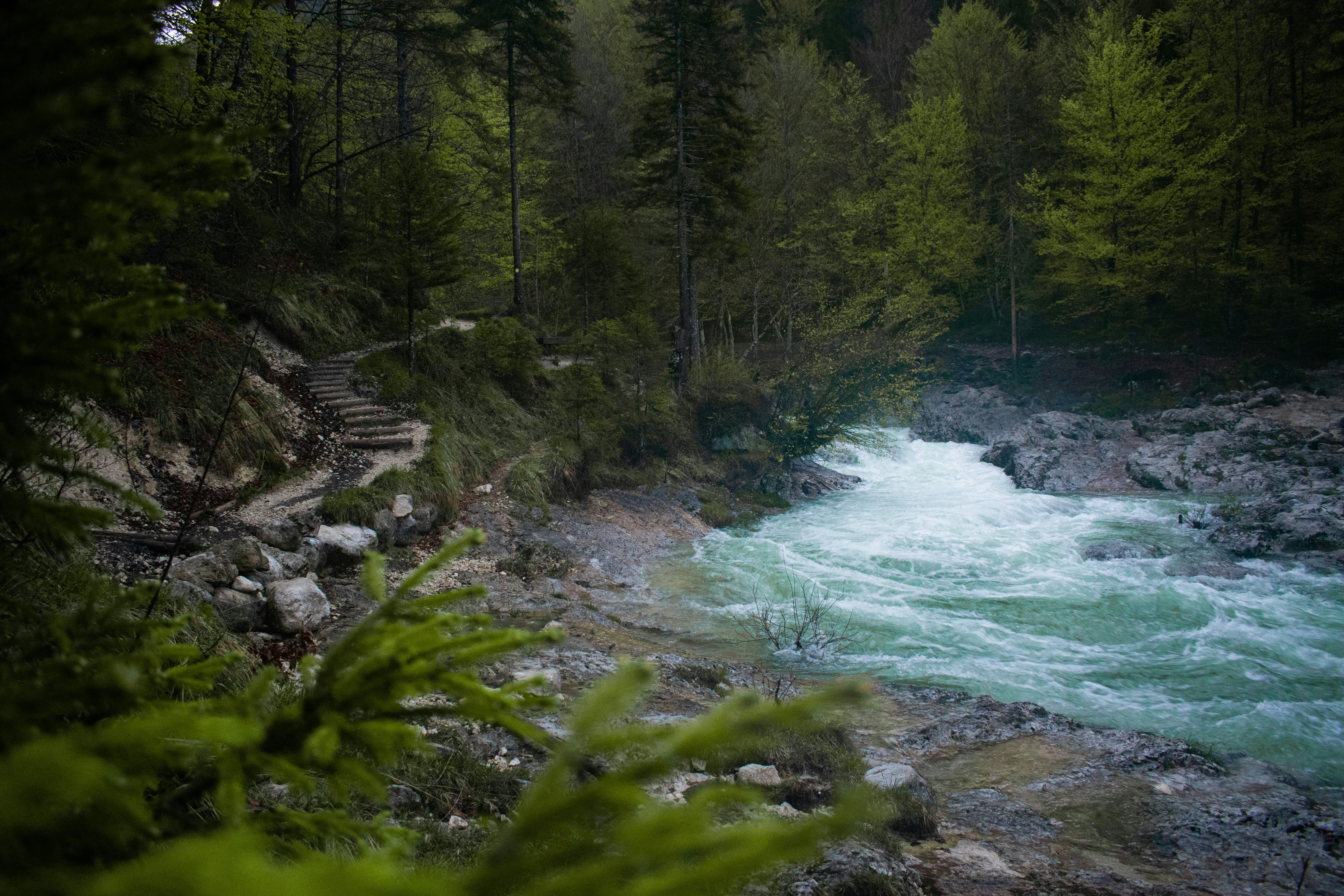 Photo by margagreta_96