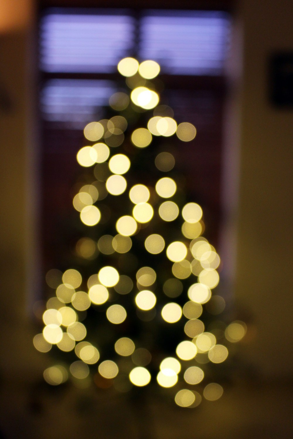 bokeh photography of Christmas tree