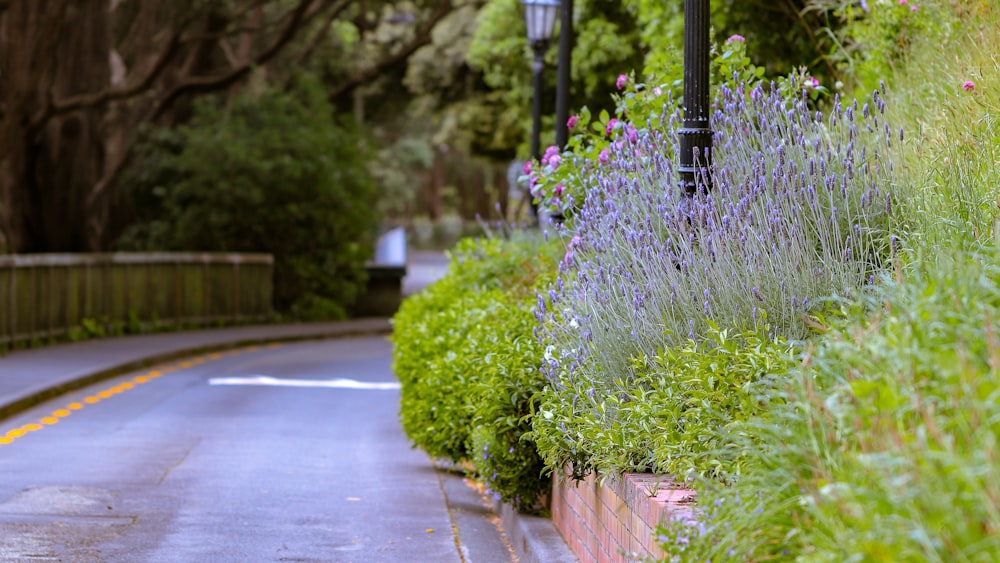 photography of empty road during daytime