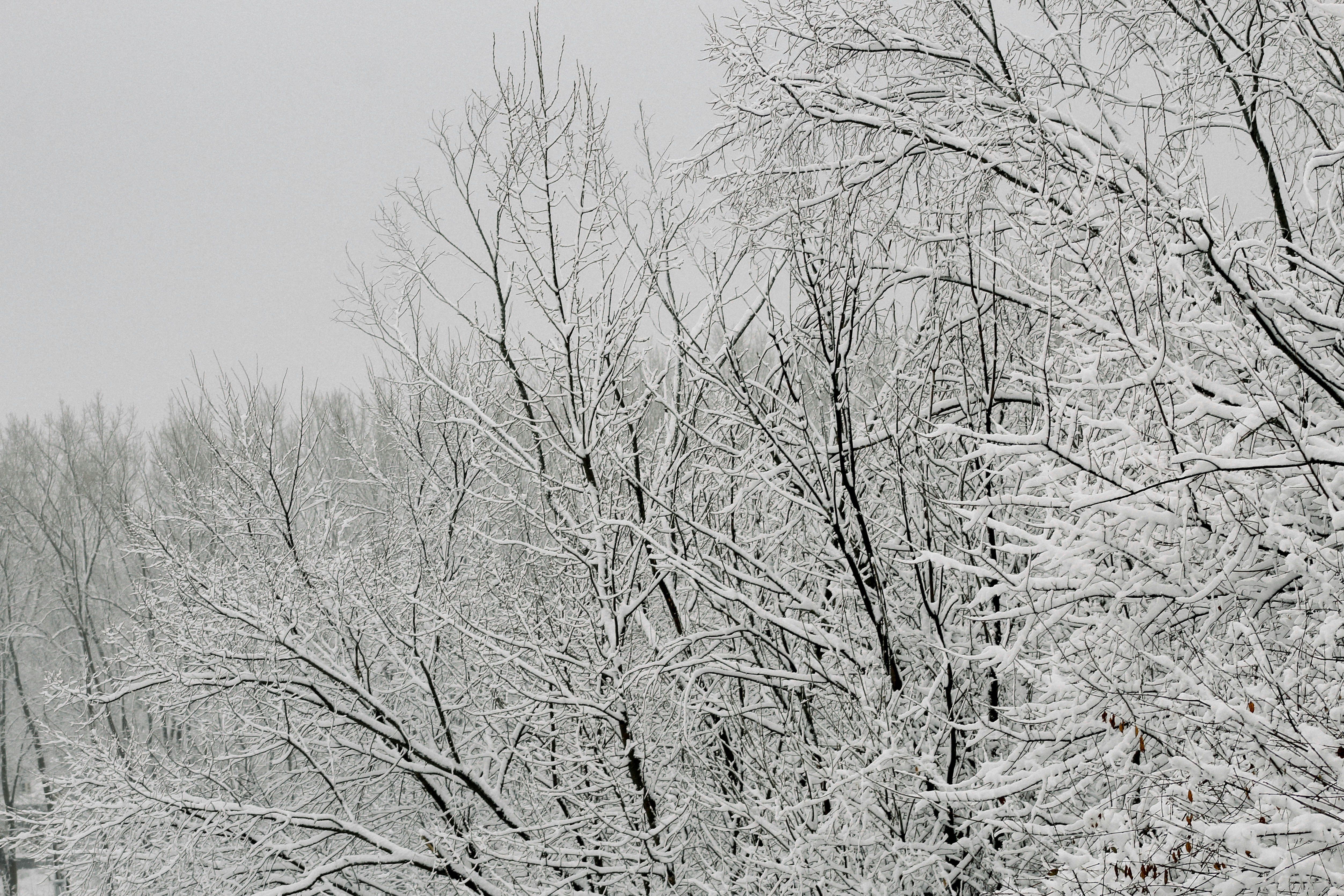 Photo by aly_denbesten