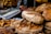 A variety of baked goods are displayed, including loaves of artisanal bread, croissants, and cinnamon rolls with cream cheese frosting. The scene is bustling, likely at a bakery or market stall.