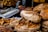 A variety of baked goods are displayed, including loaves of artisanal bread, croissants, and cinnamon rolls with cream cheese frosting. The scene is bustling, likely at a bakery or market stall.