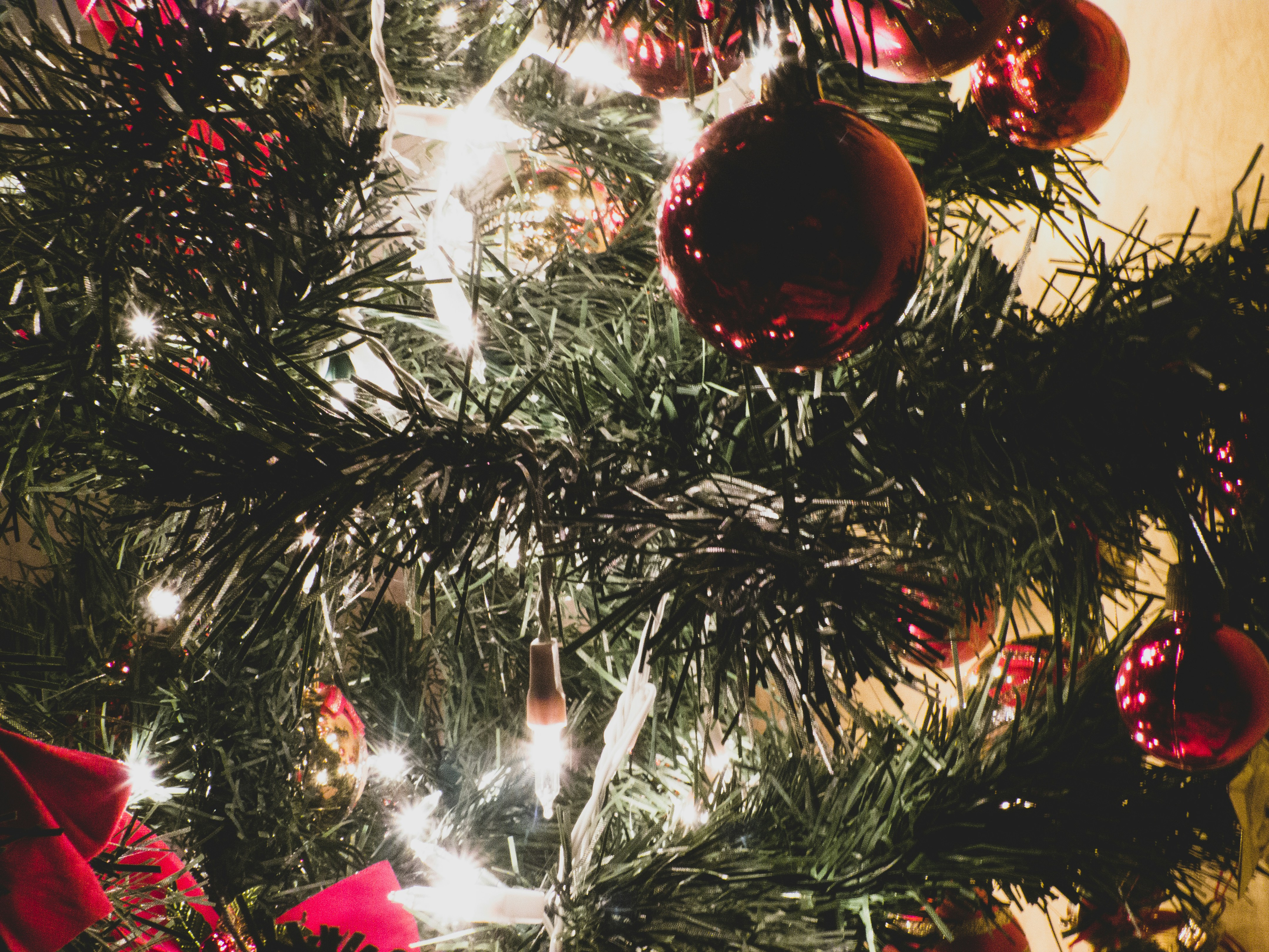 Photo by luizagiannelli