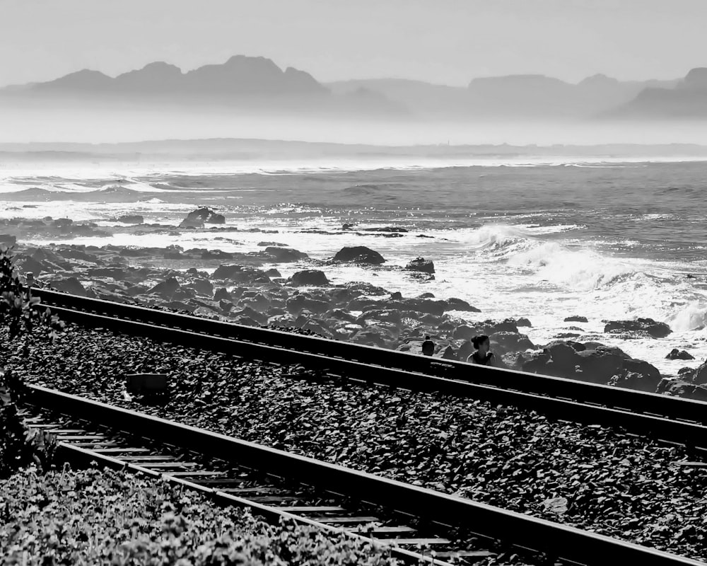 Fotografía en escala de grises de la orilla del mar durante el día