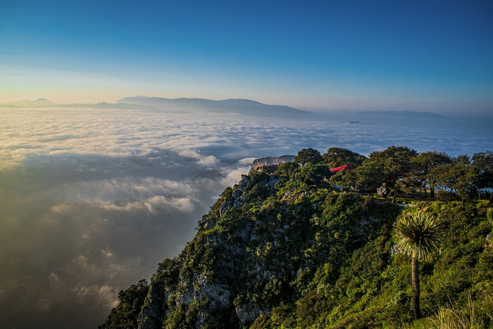 green mountain and white sea of clouds scnery