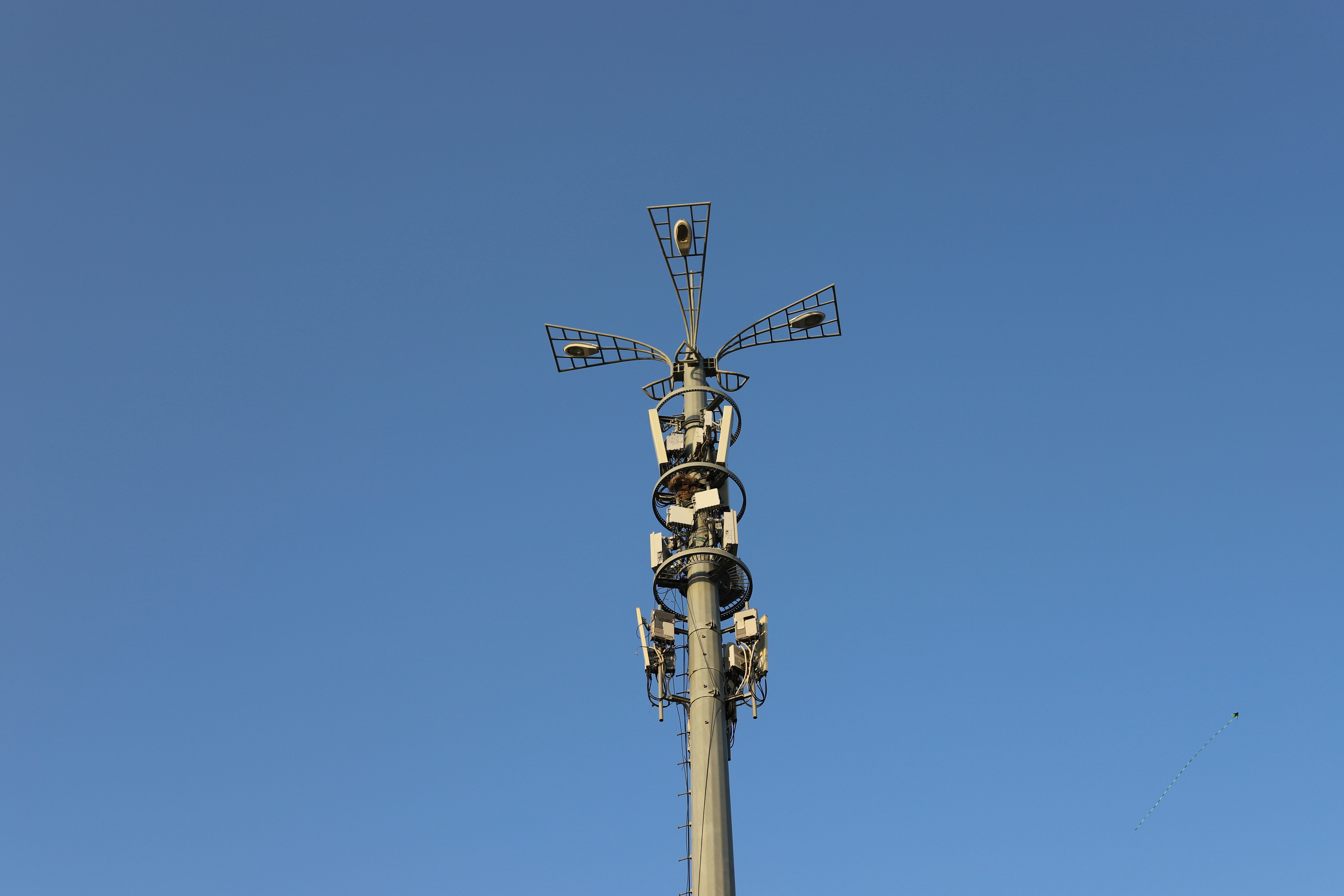 Photo by takeshi_morisato