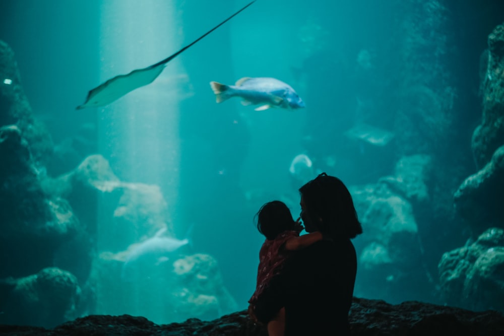 Femme et bébé dans l'aquarium photo – Photo Bleu Gratuite sur Unsplash