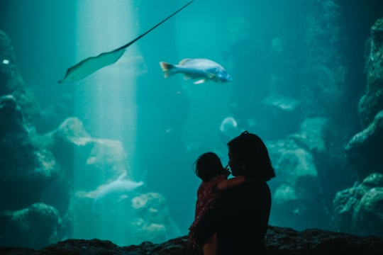 woman and baby in aquarium in Sea World Ancol Indonesia
