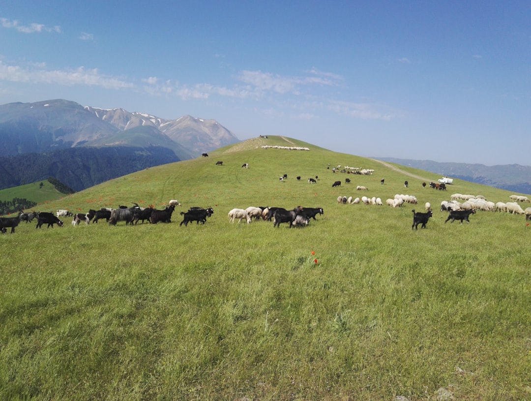 Highland photo spot Soobatan Masal