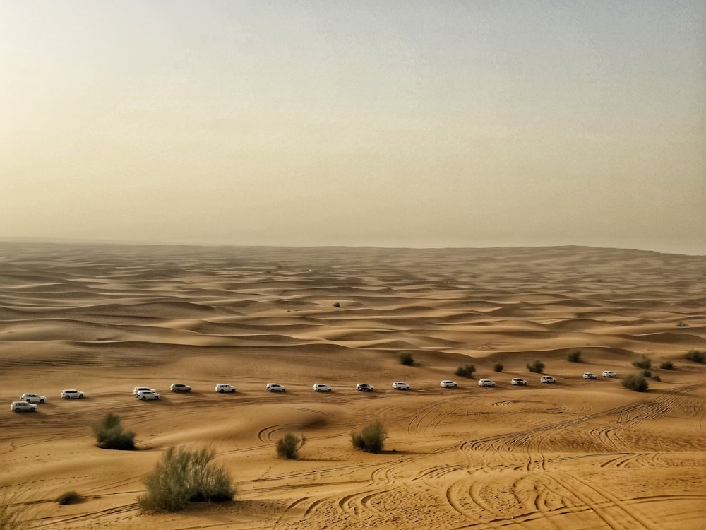 sand dune scnery