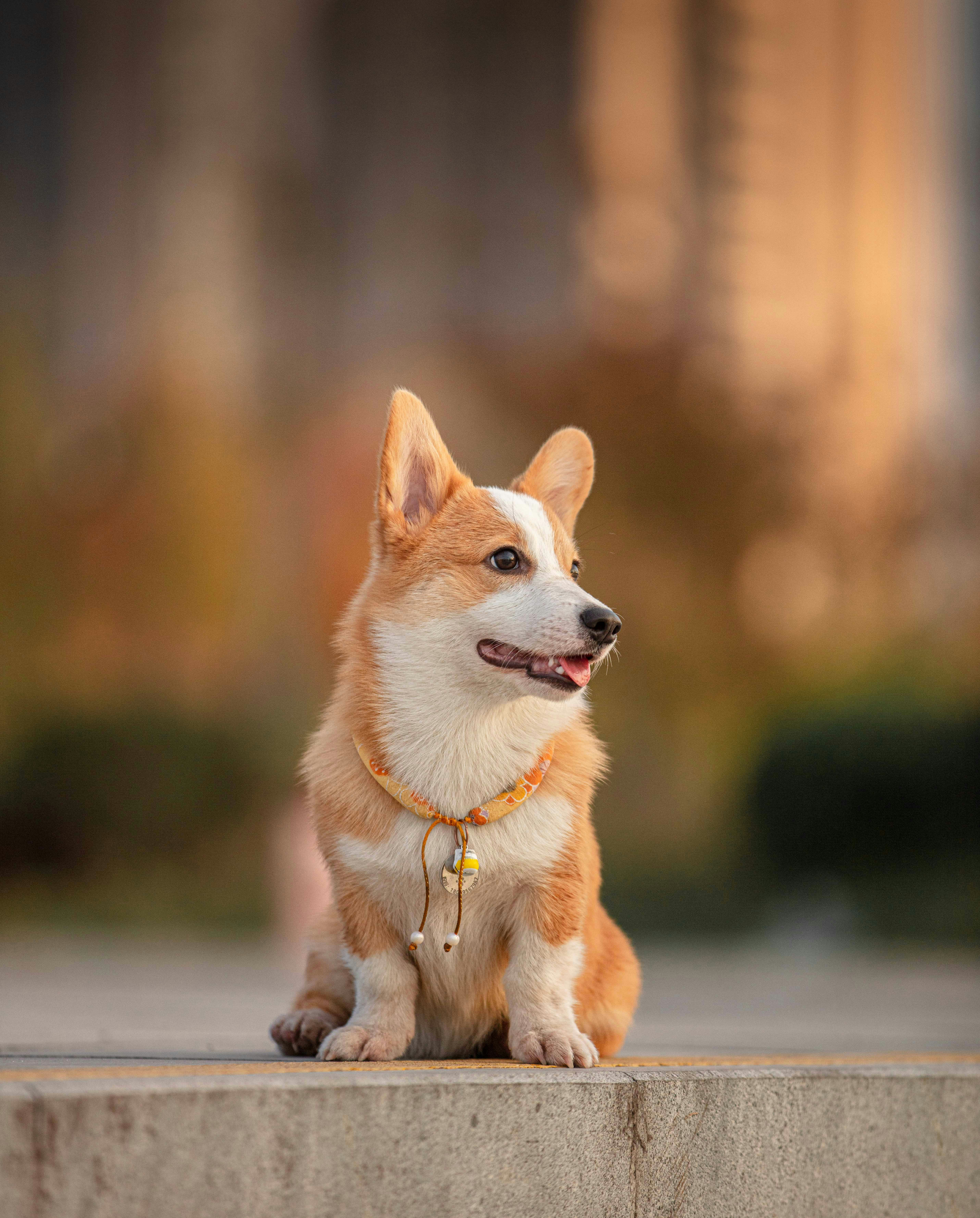 Photo by tangzhengtao