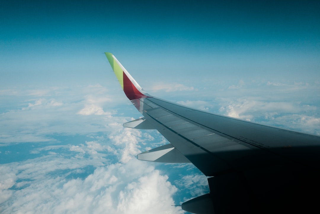 gray and red airliner wing