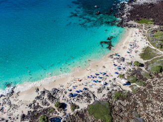 aerial seashore scnery
