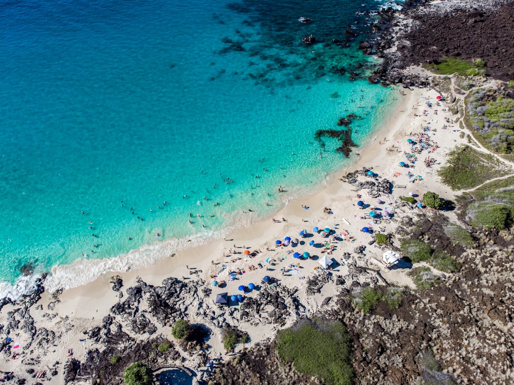 aerial seashore scnery