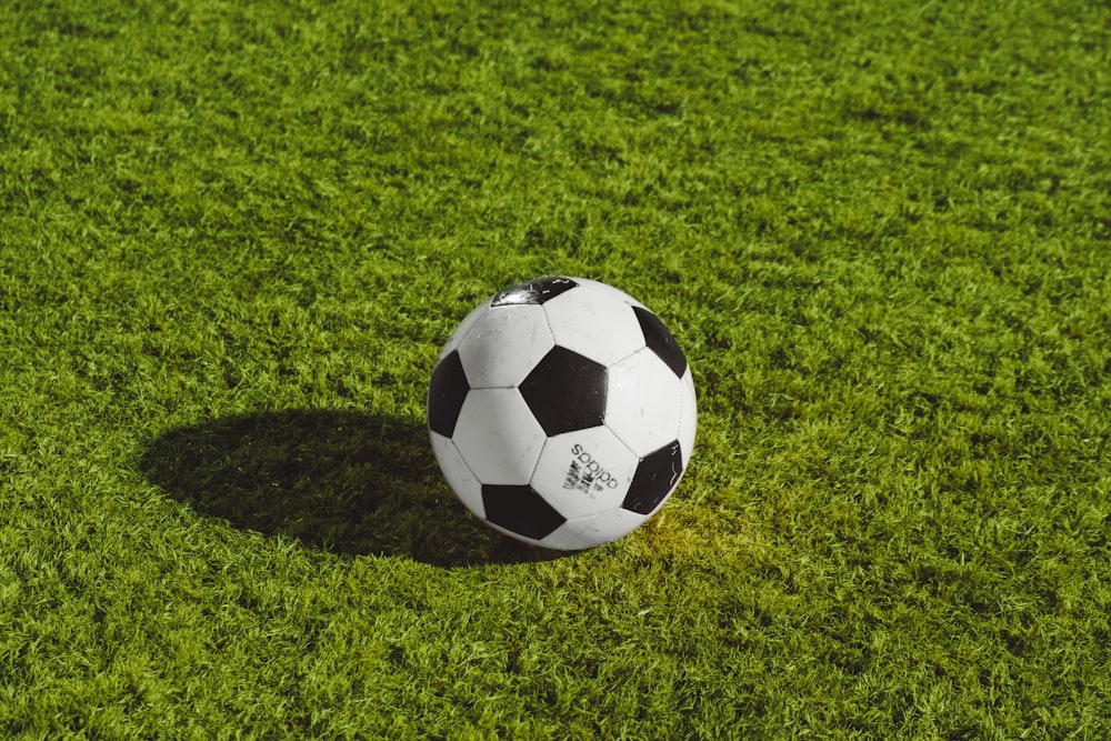 芝生のフィールドに白と黒のサッカーボール