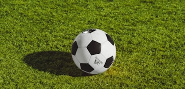 white and black soccer ball on grass field