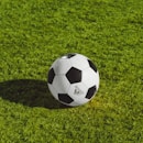 Monmouth, white and black soccer ball on grass field, Montclair State