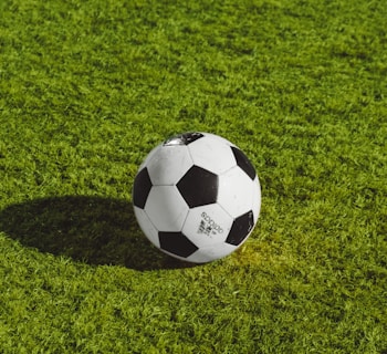 Monmouth, white and black soccer ball on grass field