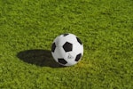 Soccer Ball View 3