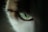 An extreme close-up of a cat's eye, showcasing intricate details of the iris with a mix of green and blue hues. The surrounding fur is a blend of brown, black, and white colors, adding texture and depth to the image.