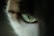 An extreme close-up of a cat's eye, showcasing intricate details of the iris with a mix of green and blue hues. The surrounding fur is a blend of brown, black, and white colors, adding texture and depth to the image.