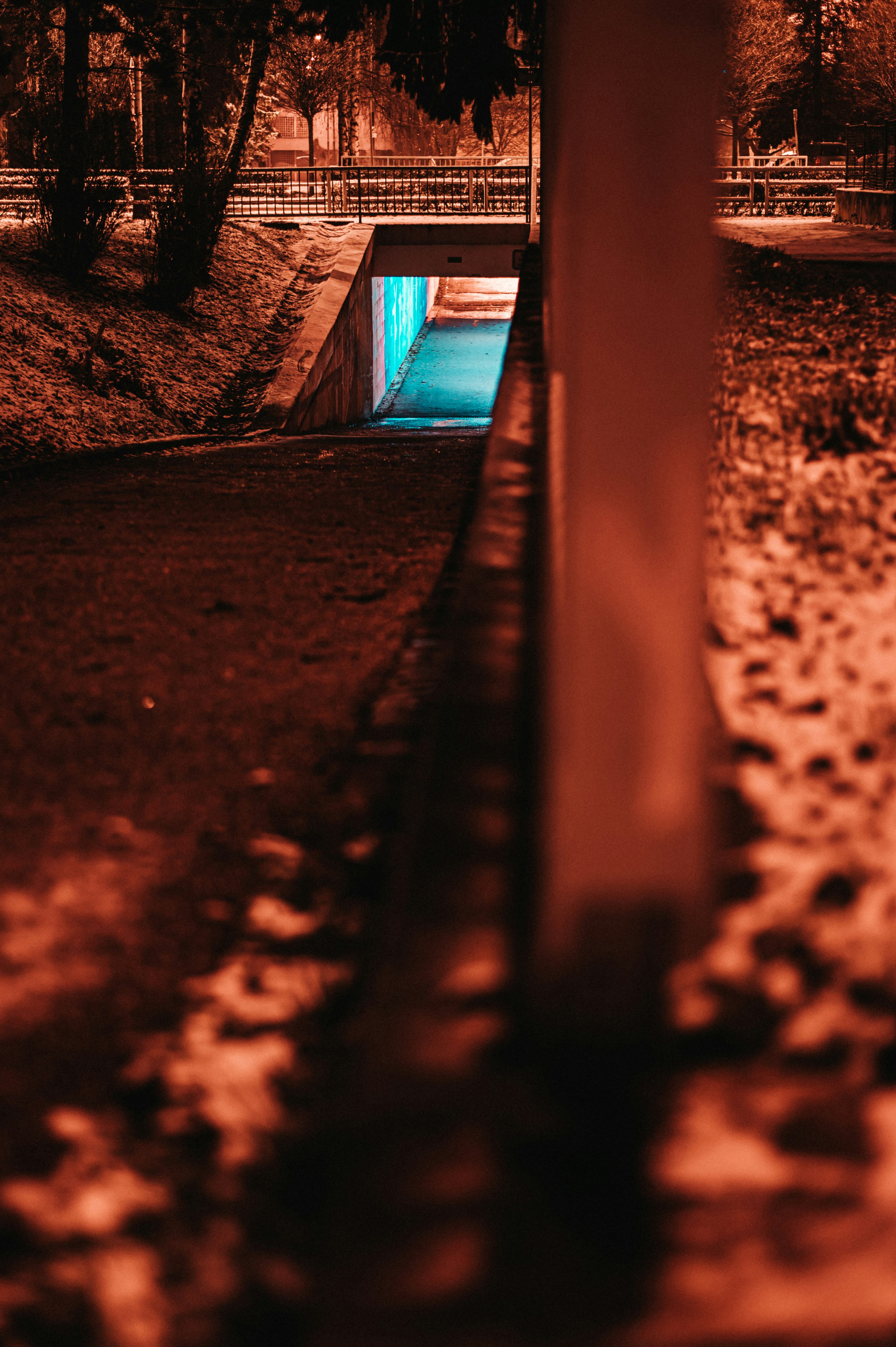 underpass between trees