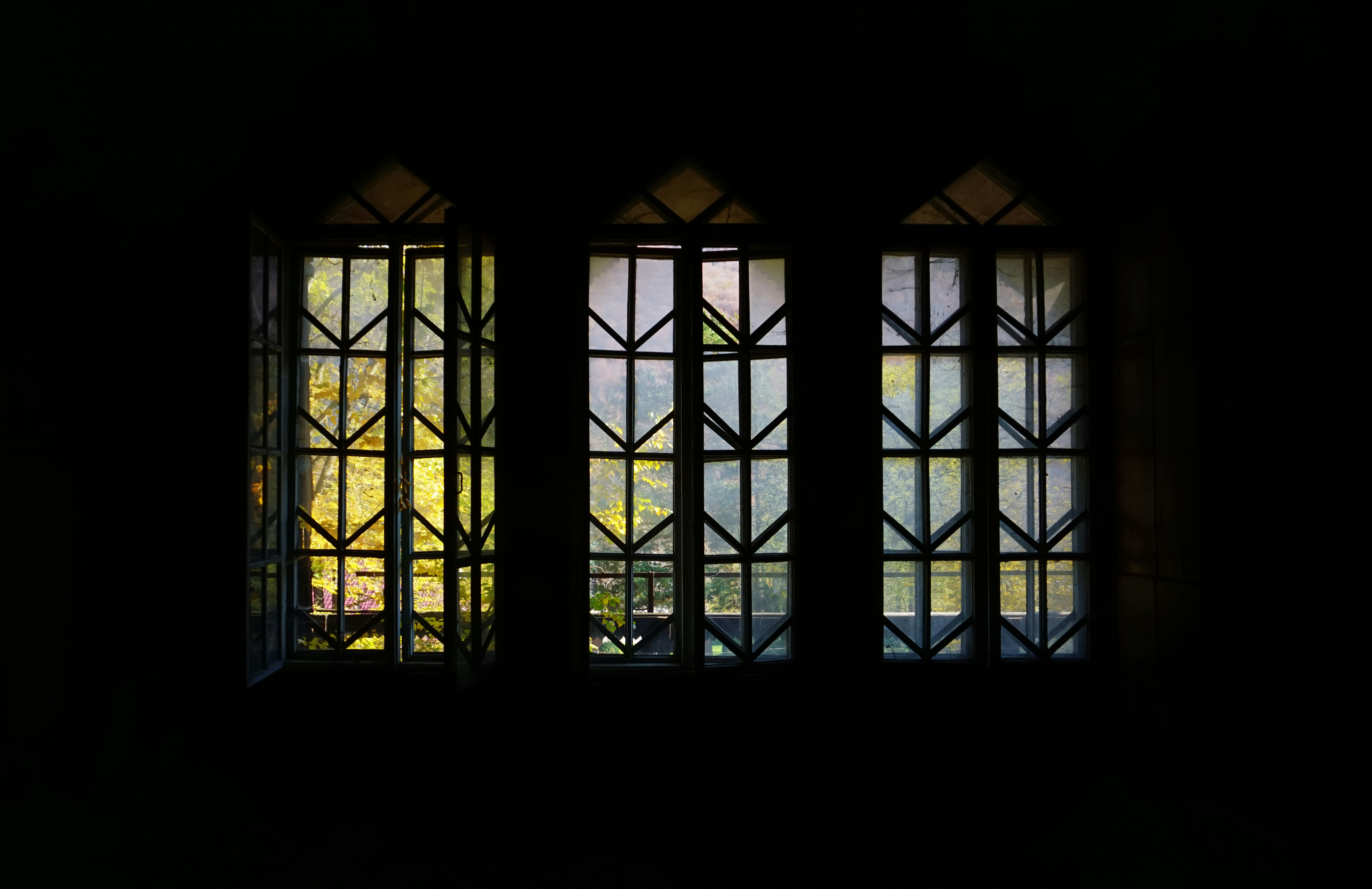 Photo by forest_diver