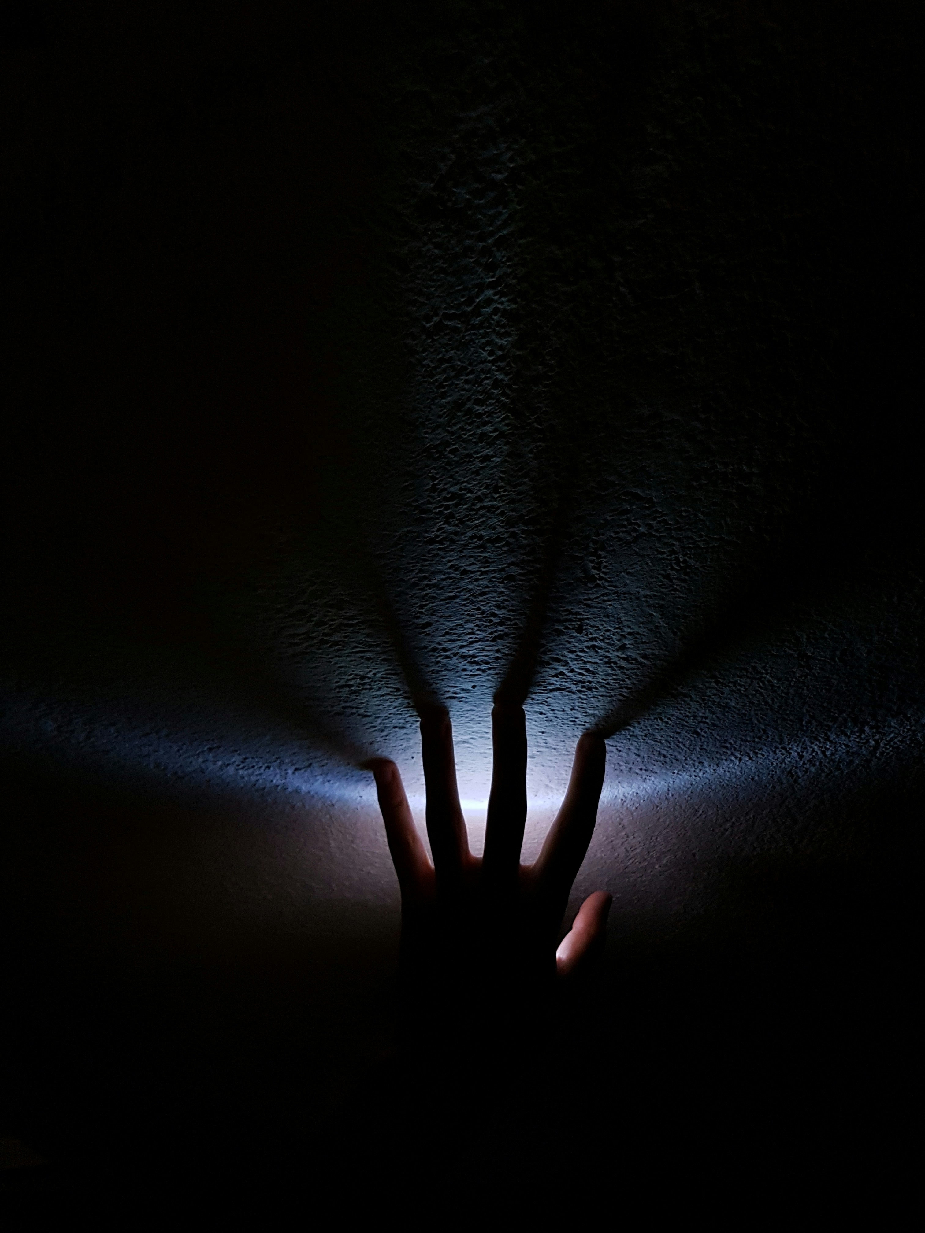 Photo by belmin_26_aljovic