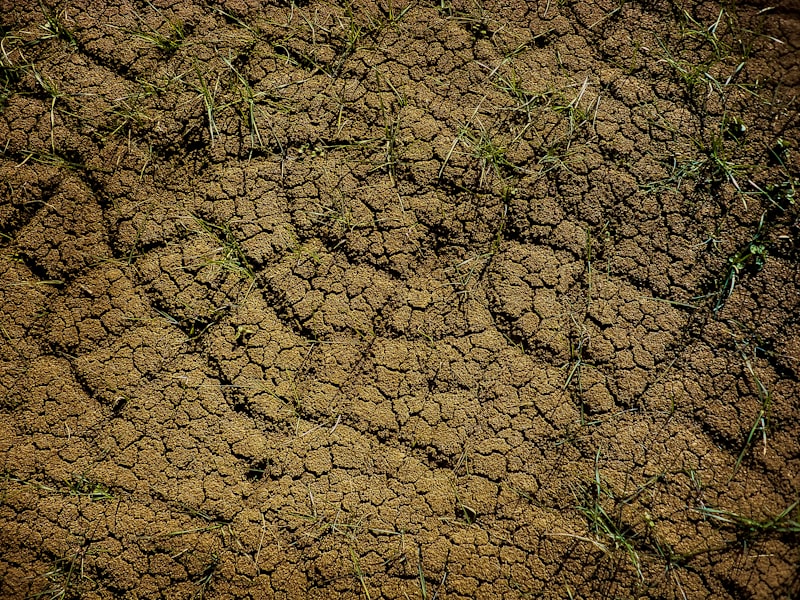 観葉植物の土の捨て方・処分方法｜自治体ルール・再利用・コンポスト活用まで