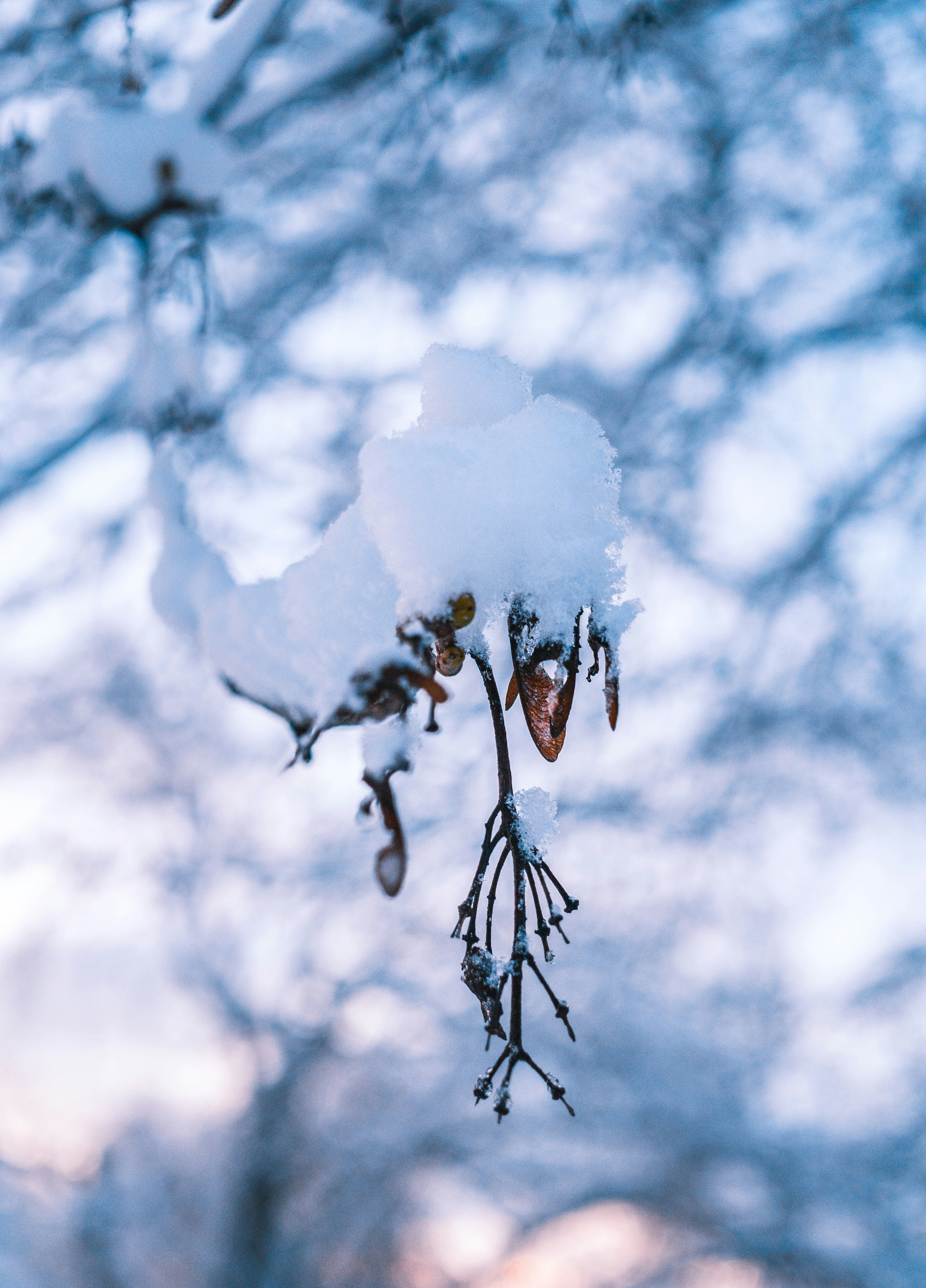 Photo by marcushelmet_