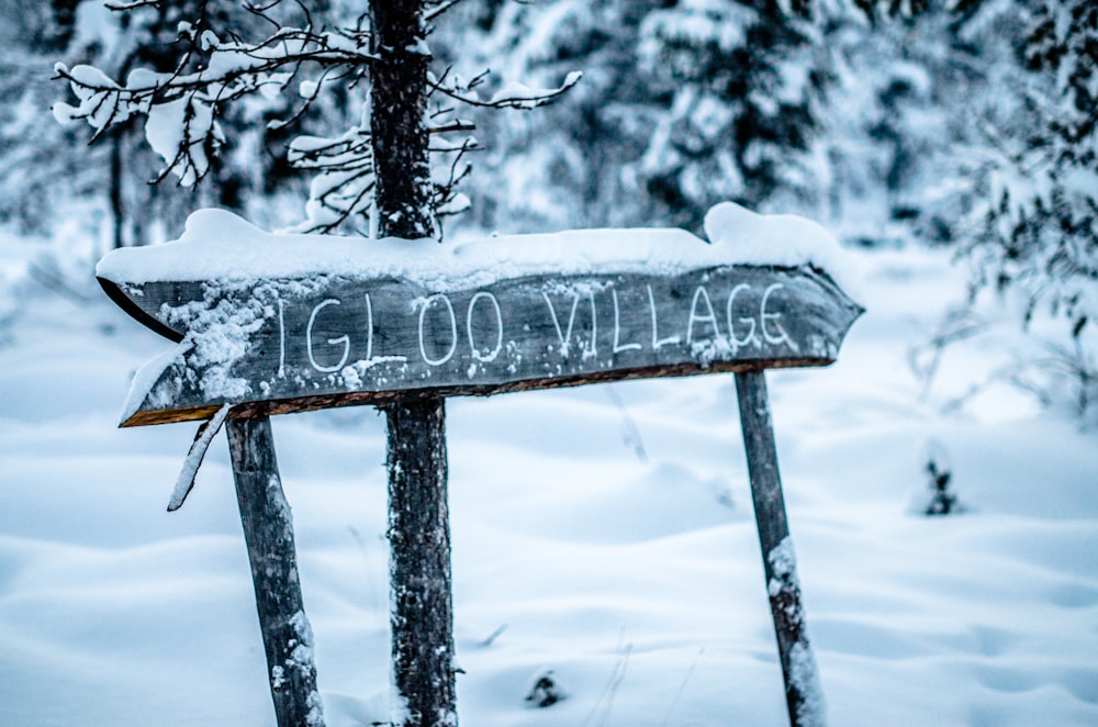 Igloo Village wooden signage