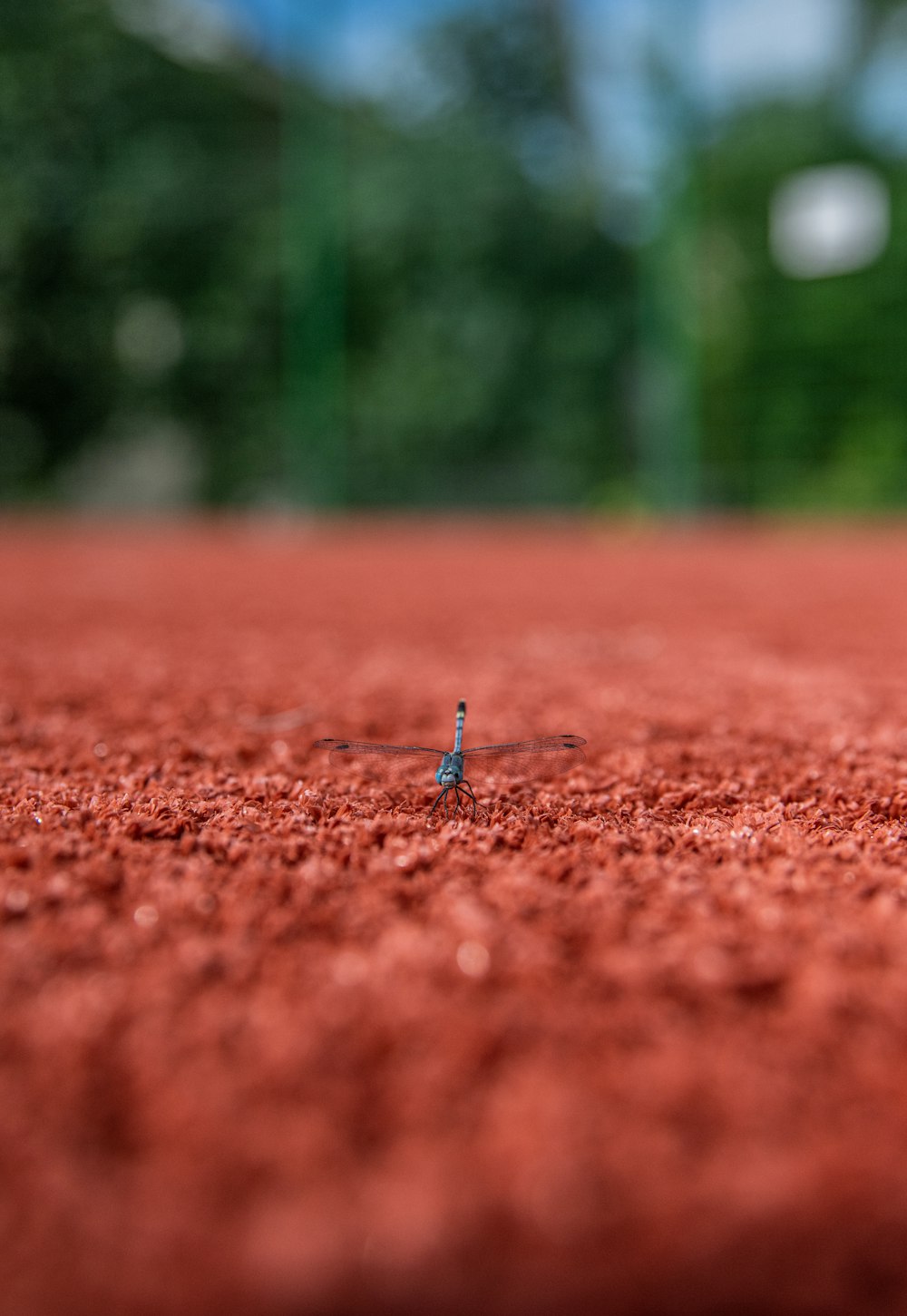 a small blue bug sitting on top of a tennis court