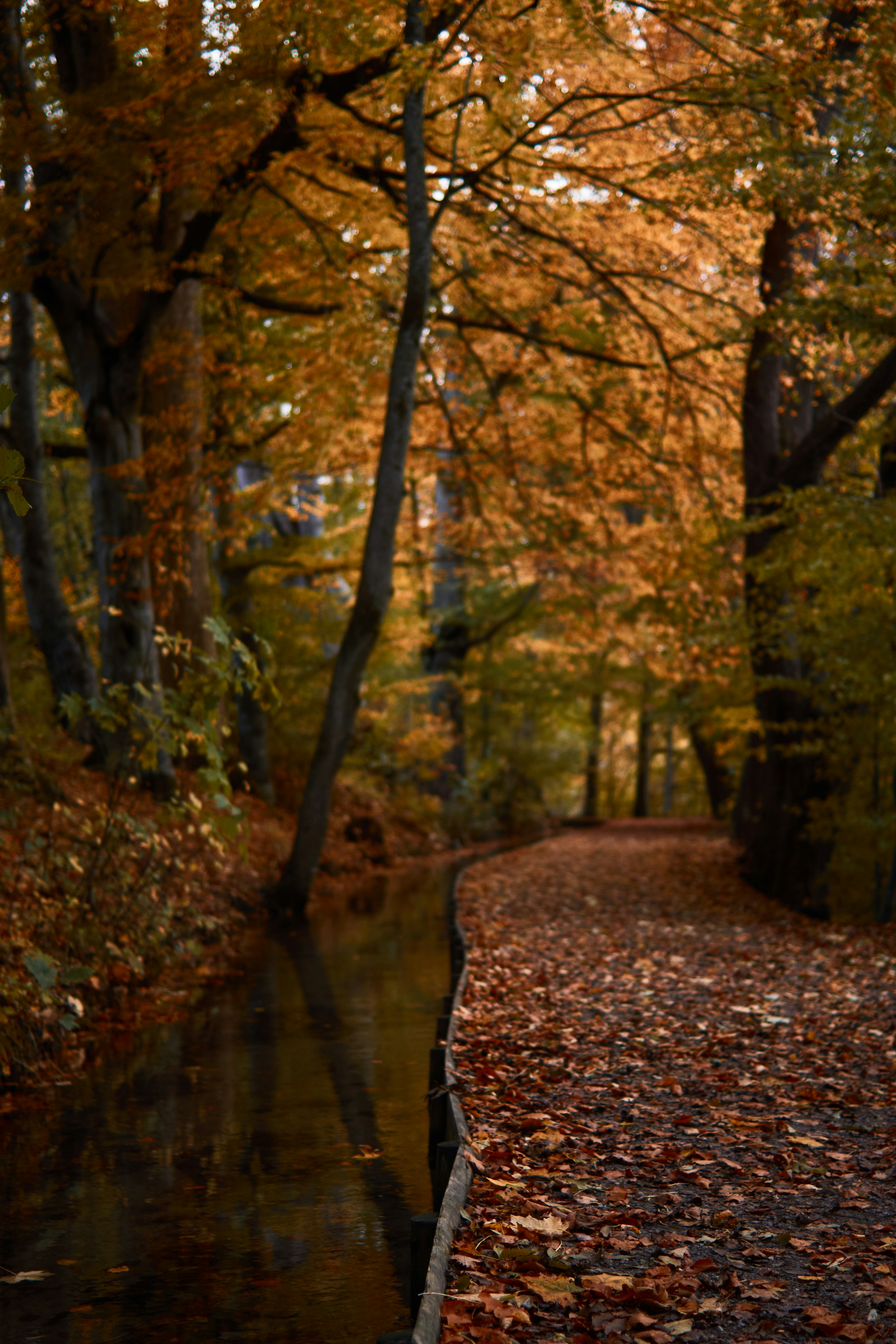 Photo by chipandcharge