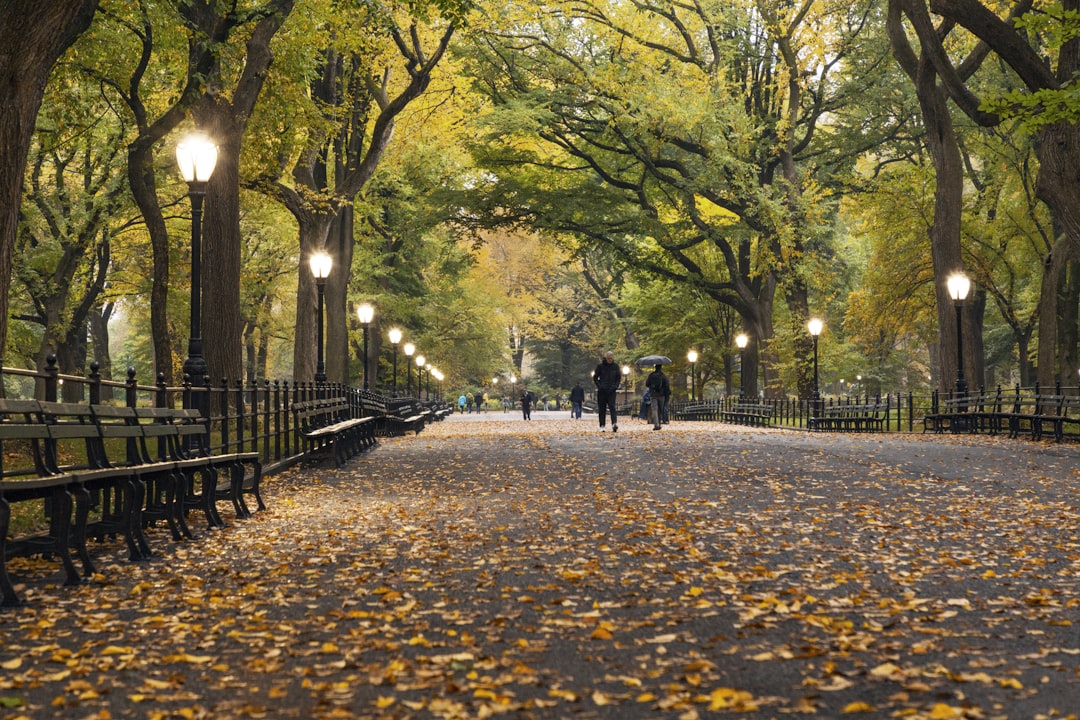 Big Apple Bucket List: 37 Quintessential New York City Experiences… — Big Apple Bucket List