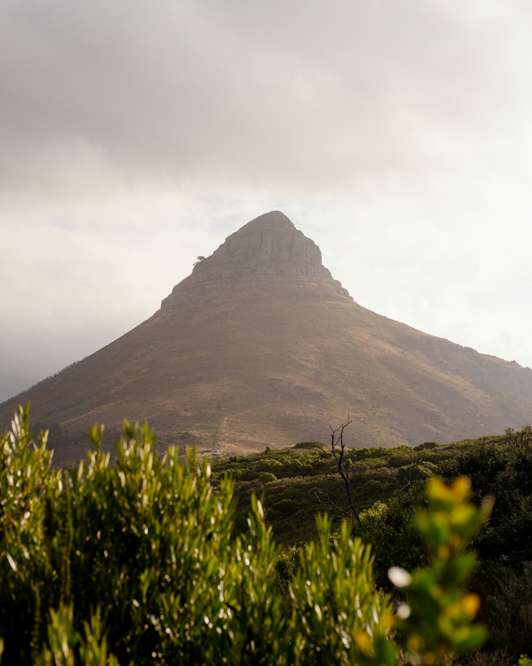 Hill photo spot Signal Hill Cape Town