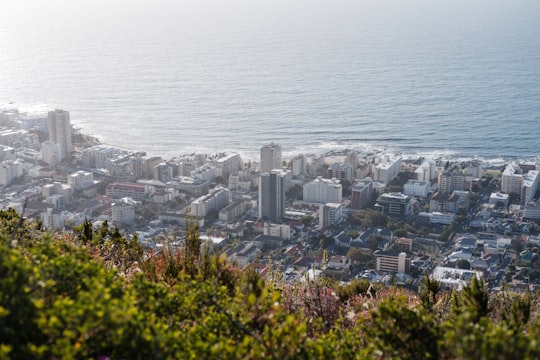 aerial photo of city buildings in Signal Hill South Africa
