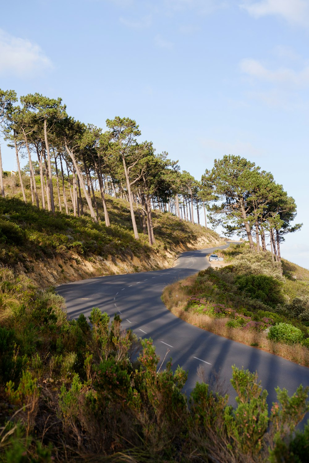 fotografia di paesaggio di una strada che sale su una collina