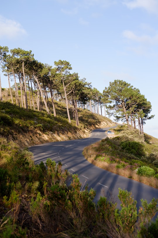 landscape photography of a road going up a hill in Signal Hill South Africa