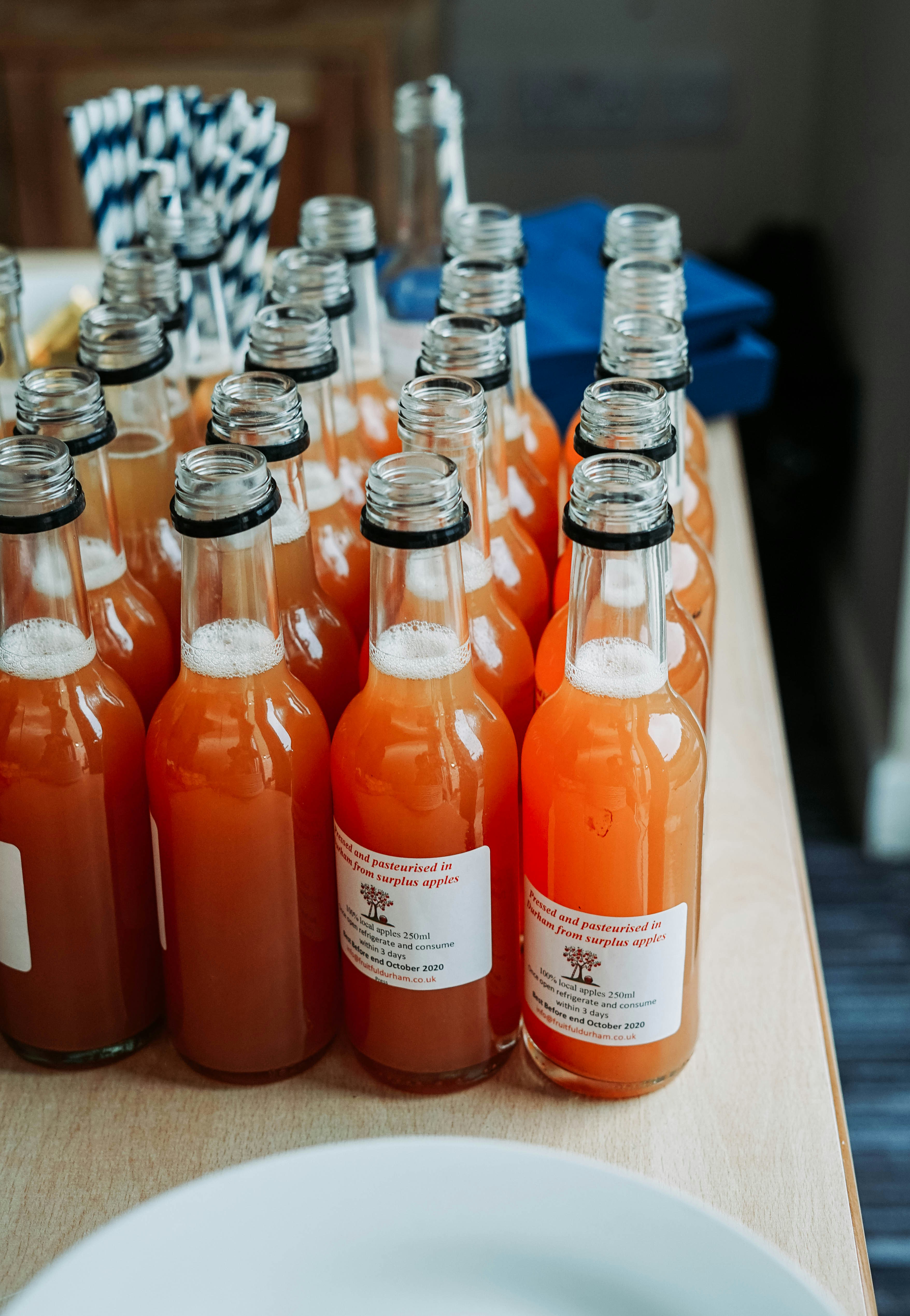 Growing Organs in Labs: The Blueprint for Bioengineered Transplants